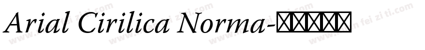 Arial Cirilica Norma字体转换